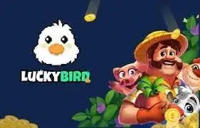 cách chơi poker vn